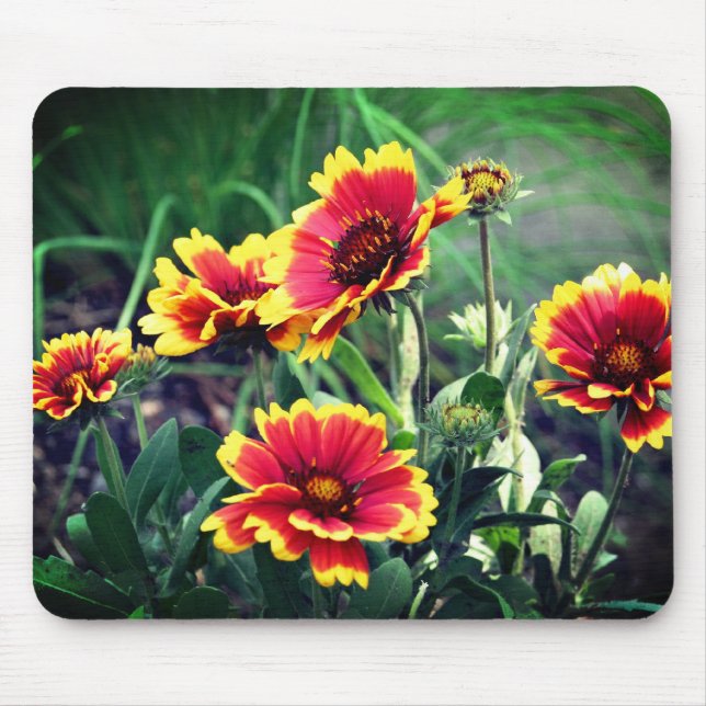Mousepad Flores de margarida em cobertor  (Frente)