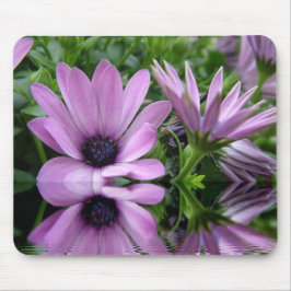 Mousepad flores de margarida púrpura