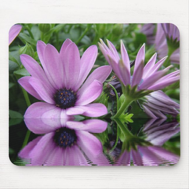 Mousepad flores de margarida roxa (Frente)