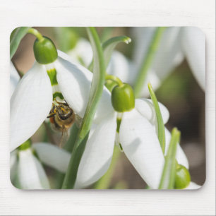 Mousepad Flores de neve