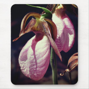 Mousepad Flores De Orquídea De Dama Rosa