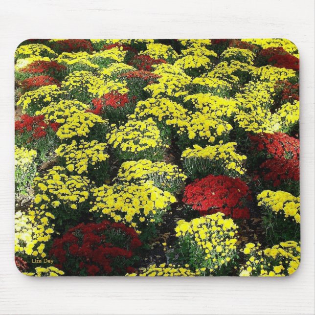 Mousepad "Flores de outono" (Frente)