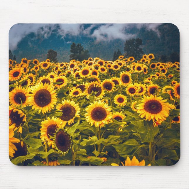 Mousepad Flores de Paisagem de Girassol Amarelo (Frente)