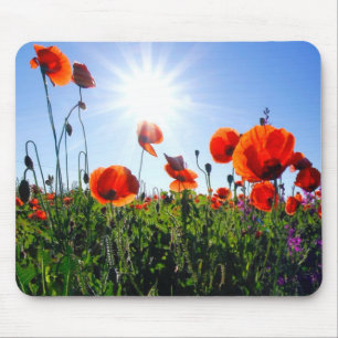 Mousepad Flores de papagaios vermelhos selvagens