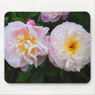 Mousepad Flores de pedônia