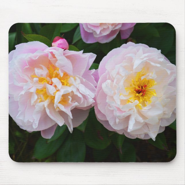 Mousepad Flores de pedônia (Frente)