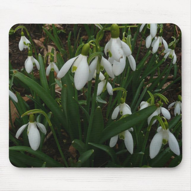 Mousepad Flores de primavera Brancas I (Galanthus) (Frente)