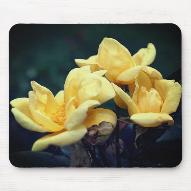 Mousepad Flores de Rosebud Amarelas (Frente)