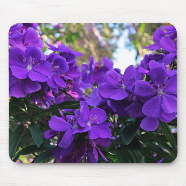 Mousepad Flores de Tibouchina (Frente)