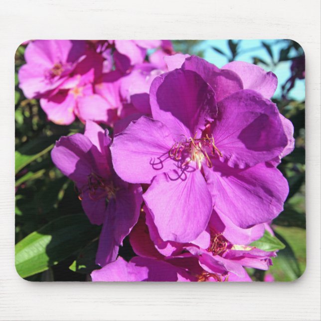 Mousepad Flores de Tibouchina (Frente)