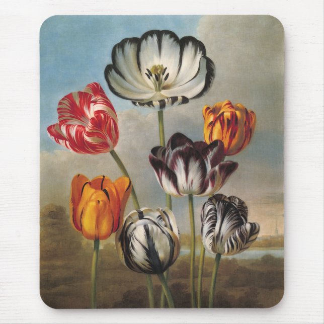 Mousepad Flores de Tulipa Variegada Antiga em uma Paisagem (Frente)