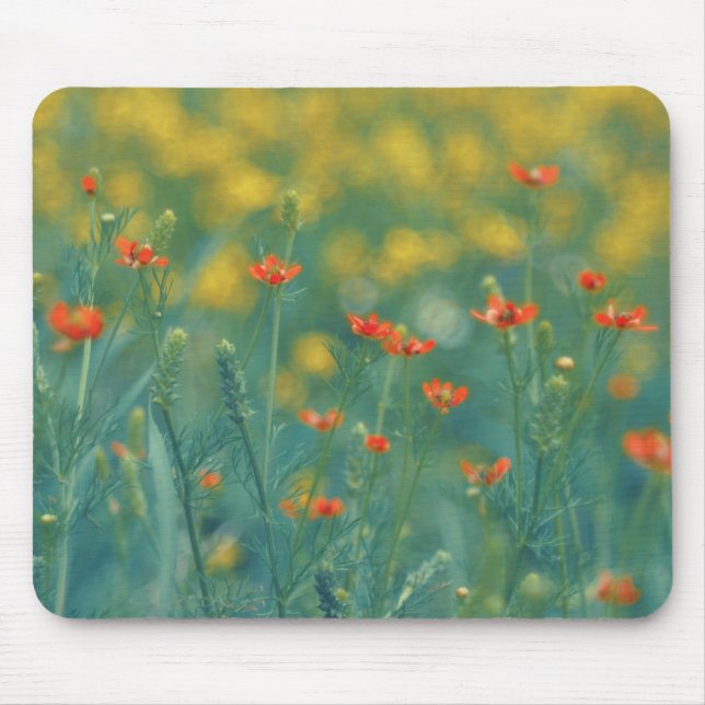 Mousepad Flores De Verão (Campo Floral) (Flores Vermelhas) (Frente)