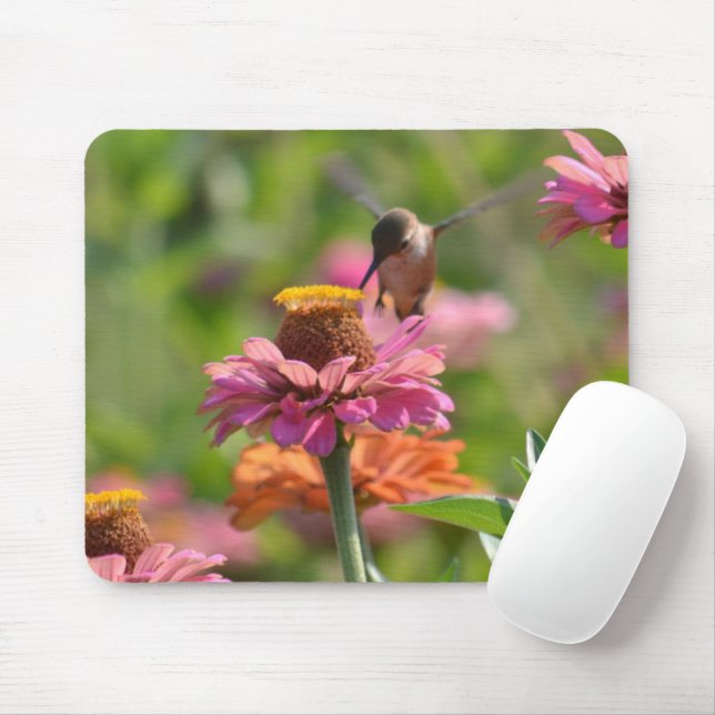Mousepad Flores de Zínia Rosa Fotografia de Beija-flor (Com mouse)