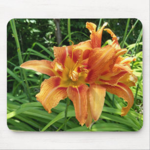 Mousepad Flores Diurnas Laranja Horizontais