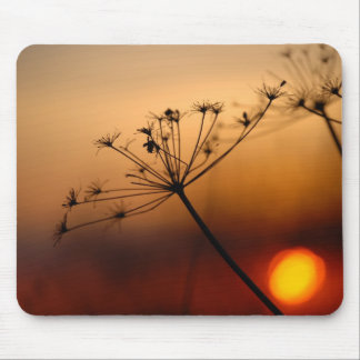 Mousepad Flores do campo do por do sol