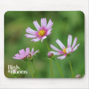 Mousepad Flores do cosmos