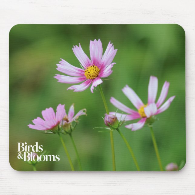Mousepad Flores do cosmos (Frente)