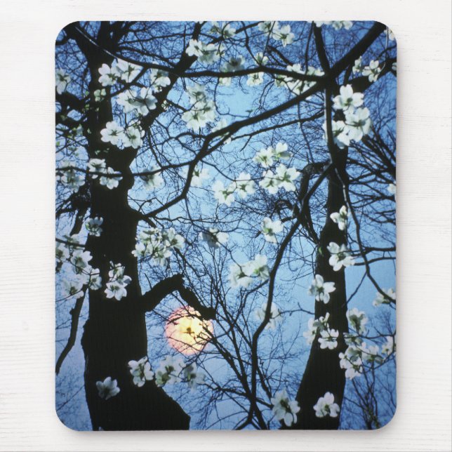 Mousepad Flores do Dogwood com por do sol (Frente)