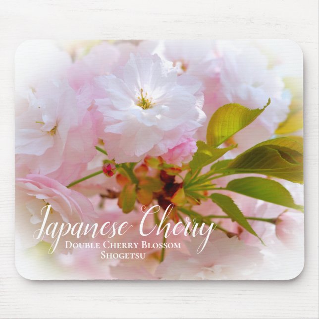 Mousepad Flores Duplas de Cerejeira: Shogetsu (Frente)