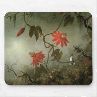 Mousepad Flores e colibris da paixão