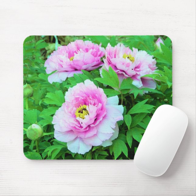 Mousepad Flores Elegantes de Pêonias de Árvore Rosa com Cen (Com mouse)