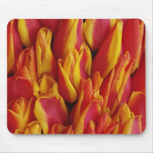 Mousepad Flores em carro alegórico celebrando o Dia da Rain