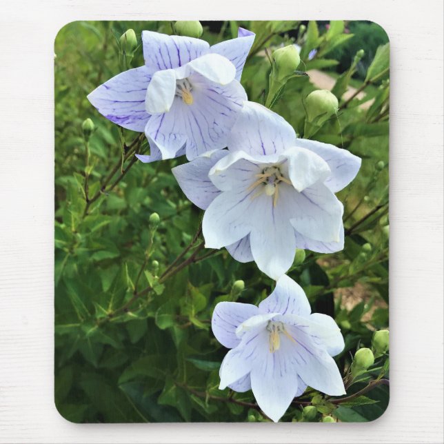 Mousepad Flores em Chateau Morrisette Winery, Floyd, VA (Frente)