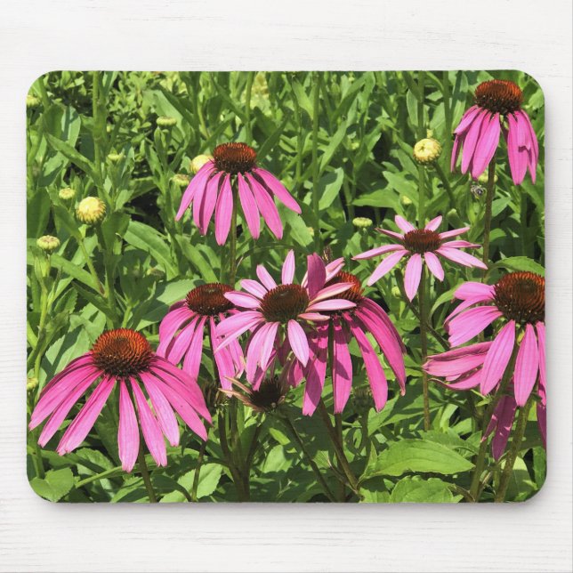 Mousepad Flores em Chateau Morrisette Winery, Floyd, VA (Frente)