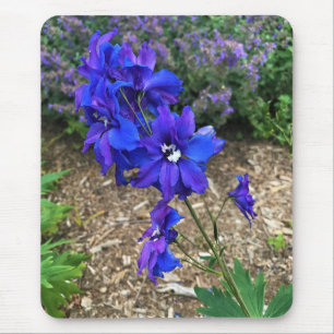 Mousepad Flores em Chateau Morrisette Winery, Floyd, VA
