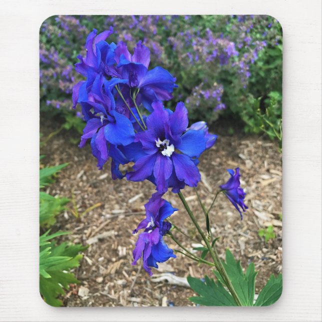 Mousepad Flores em Chateau Morrisette Winery, Floyd, VA (Frente)