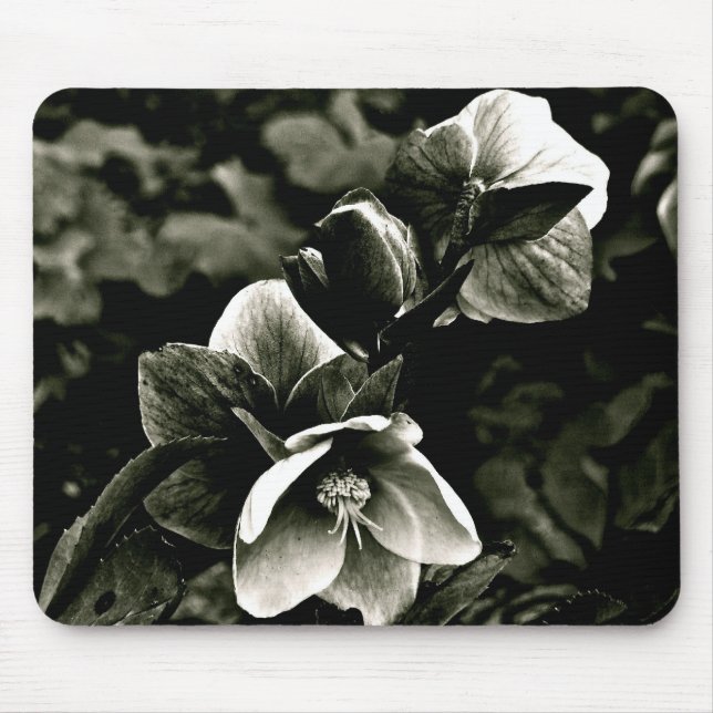 MOUSEPAD FLORES EXÓTICAS DA ÁRVORE EM PRETO E BRANCO (Frente)