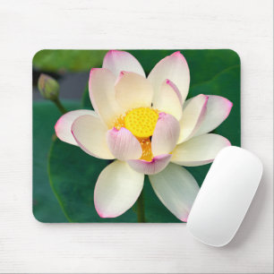 Mousepad Flores   Flor de Água Lotus