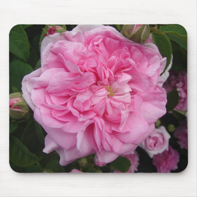 Mousepad Flores florais de Rosa cor-de-rosa (Frente)