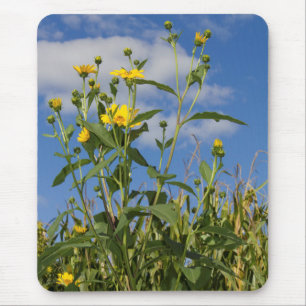 Mousepad Flores Florais Fotografia de Flores Selvagens