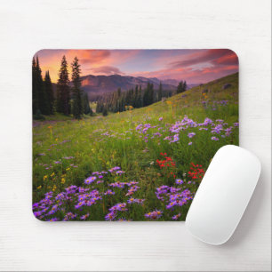 Mousepad Flores Flores selvagens roxas do Colorado