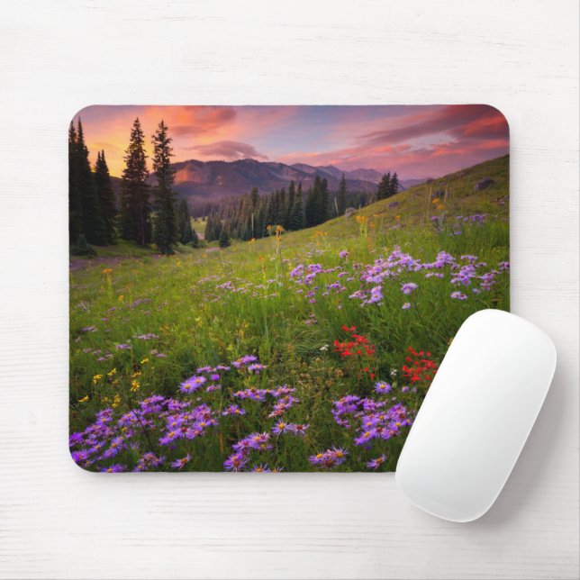Mousepad Flores | Flores selvagens roxas do Colorado (Com mouse)