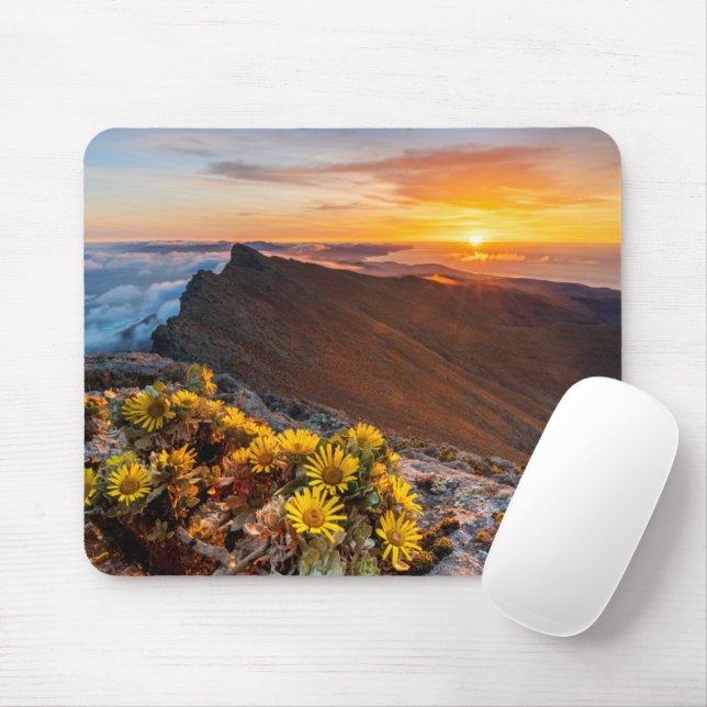 Mousepad Flores | Ilhas Canárias, Espanha (Com mouse)
