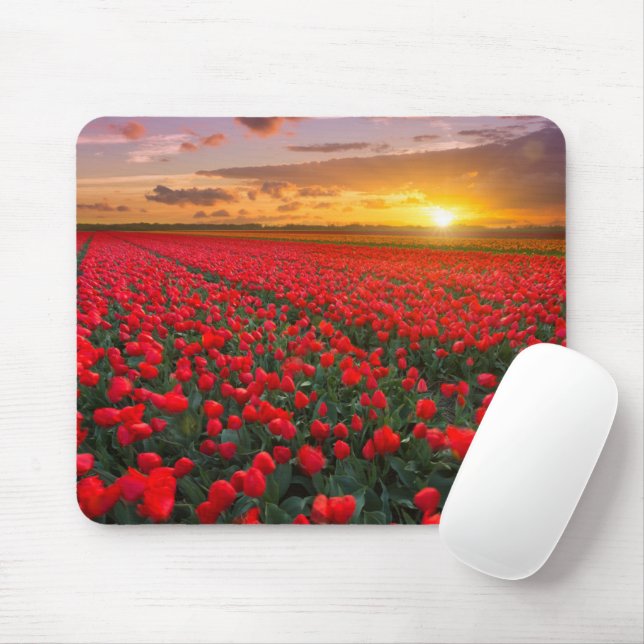 Mousepad Flores | Jardim Botânico Holanda (Com mouse)