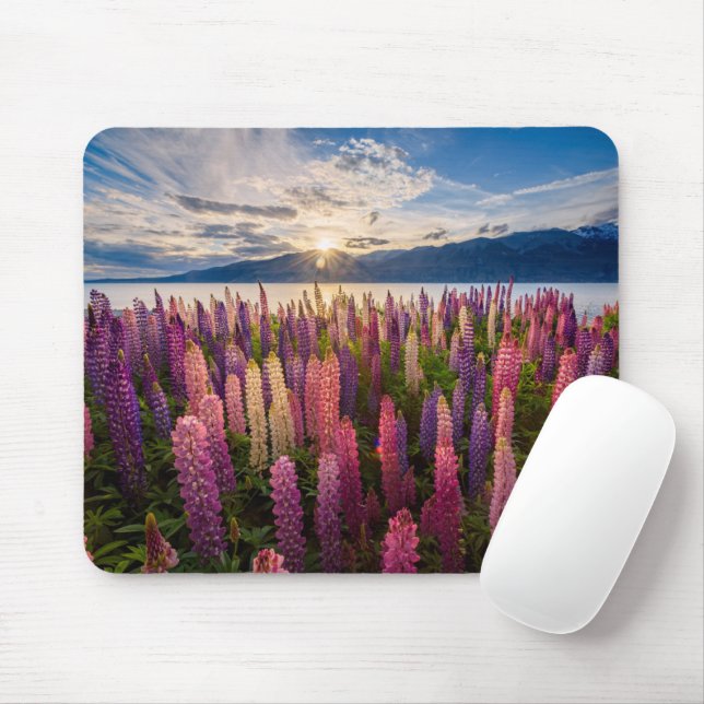 Mousepad Flores | Lupinas Nova Zelândia (Com mouse)