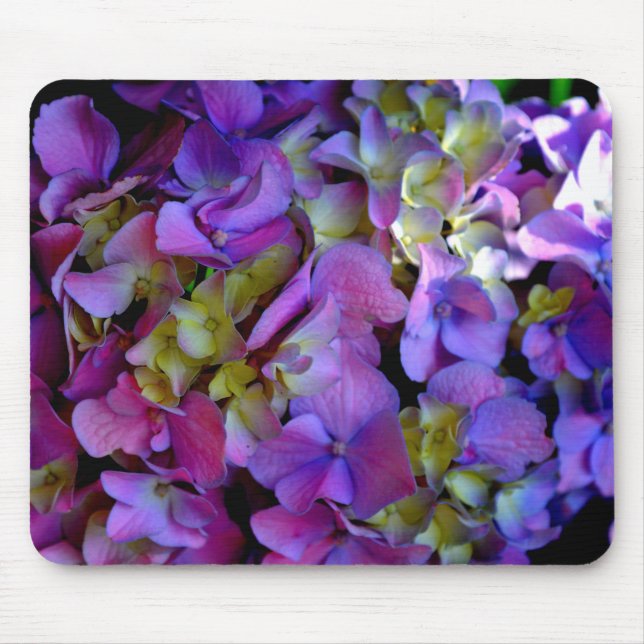 Mousepad Flores magenta púrpura amarelas Hydrangas (Frente)