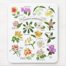 Flores nas Filipinas
