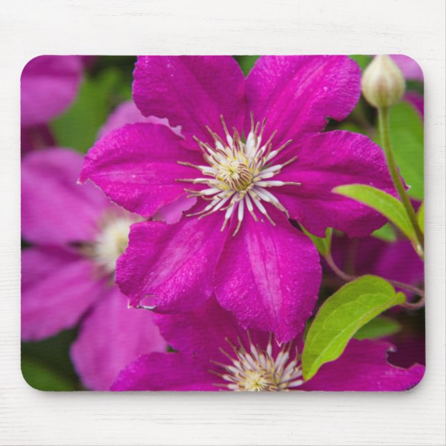 Mousepad Flores no Robinette's Apple Haus e Gift Barn 2 (Frente)
