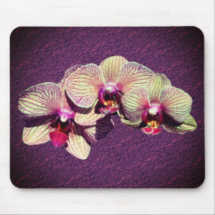 Mousepad Flores Orquídeas ricos