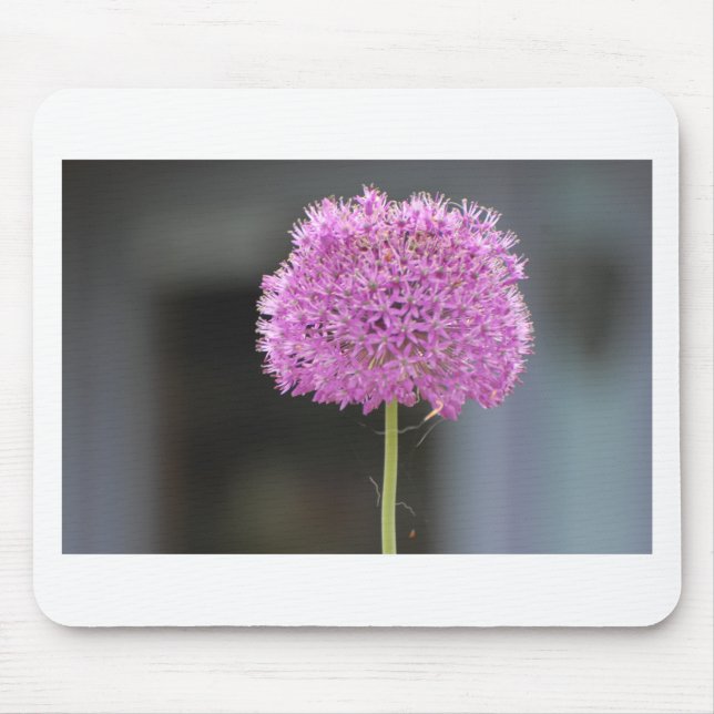 Mousepad Flores para Todos (Frente)