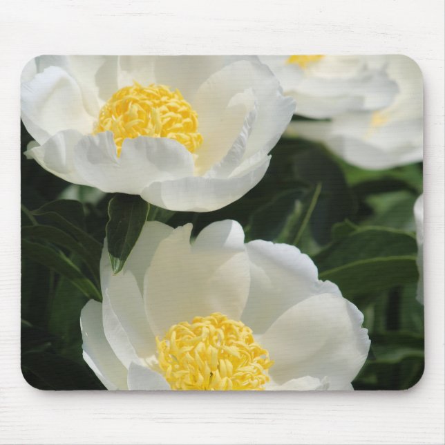 Mousepad Flores, Peonias (Frente)