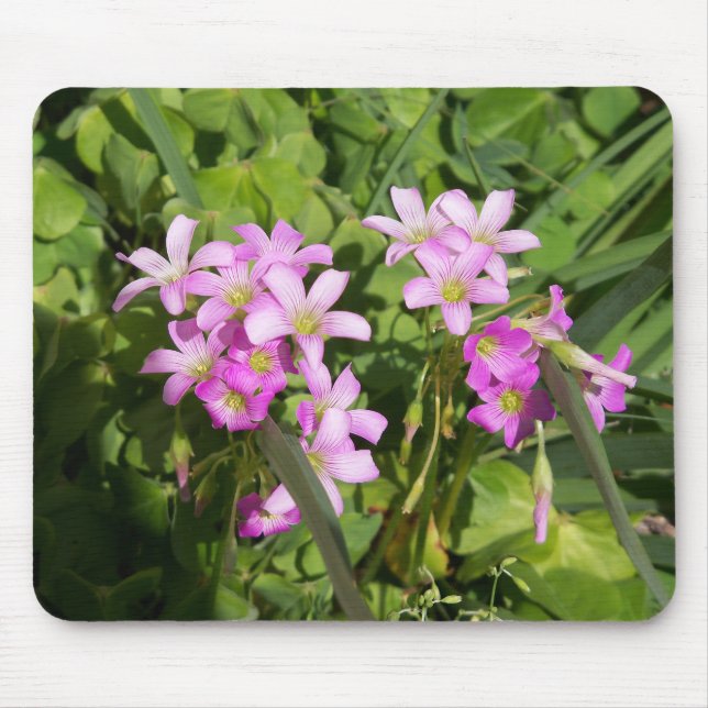 Mousepad Flores Primavera cor-de-rosa deliciosas (Frente)