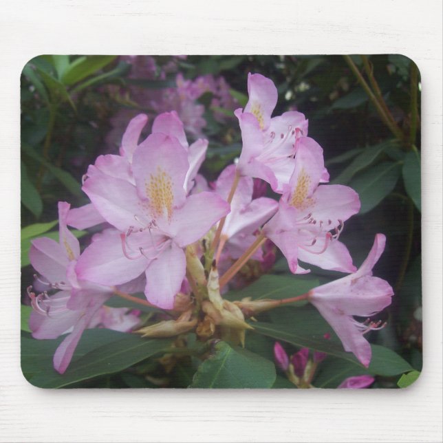 Mousepad Flores Rosa (Frente)