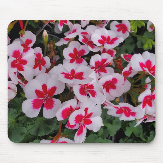 Mousepad Flores rosa (Frente)