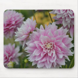 Mousepad Flores Rosa Dahlia no Jardim da RHS Wisley