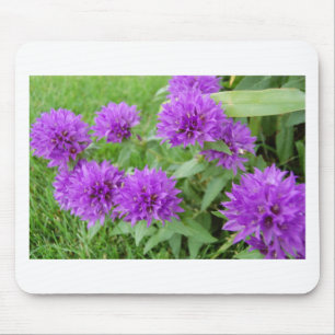 Mousepad flores roxas